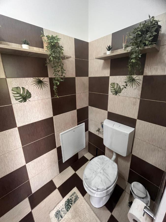 Natura City Center Studio Braşov Exteriör bild
